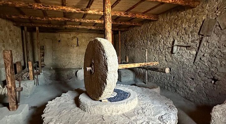 Antik Çağ'dan Tropikal Esintilere: Gazipaşa Deluxe Kültür ve Gastronomi Turu