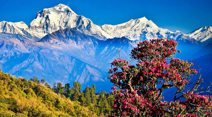 Yoga ve Nefes Odaklı Nepal Turu: Kathmandu & Nagarkot